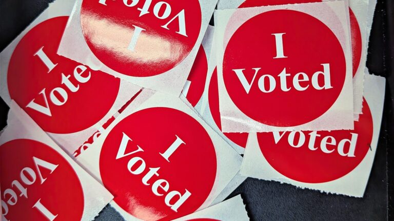What the Five Ballot Proposals Would Change in New York City